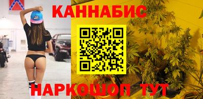 сатива Бузулук