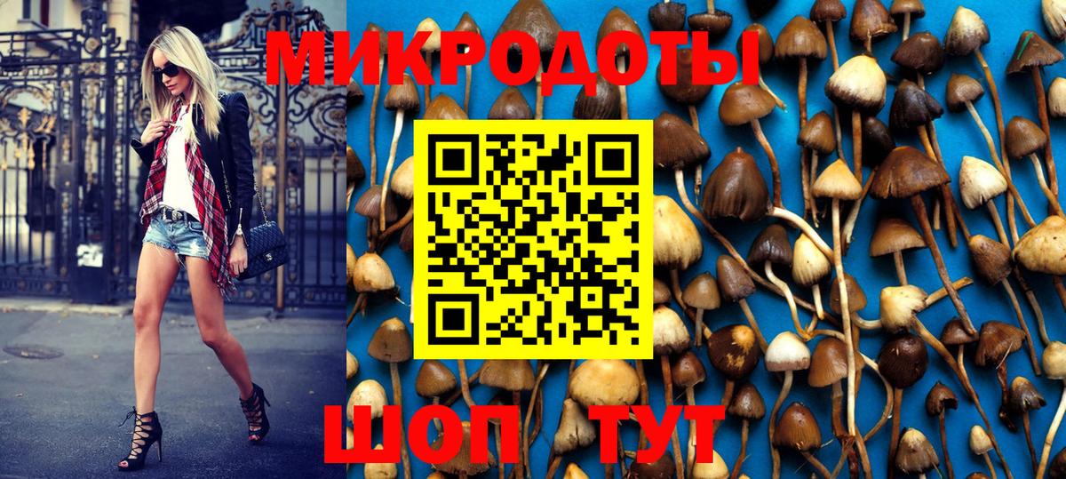 Павловский Посад  Псилоцибиновые грибы MAGIC MUSHROOMS  закладка  Вход с VPN 